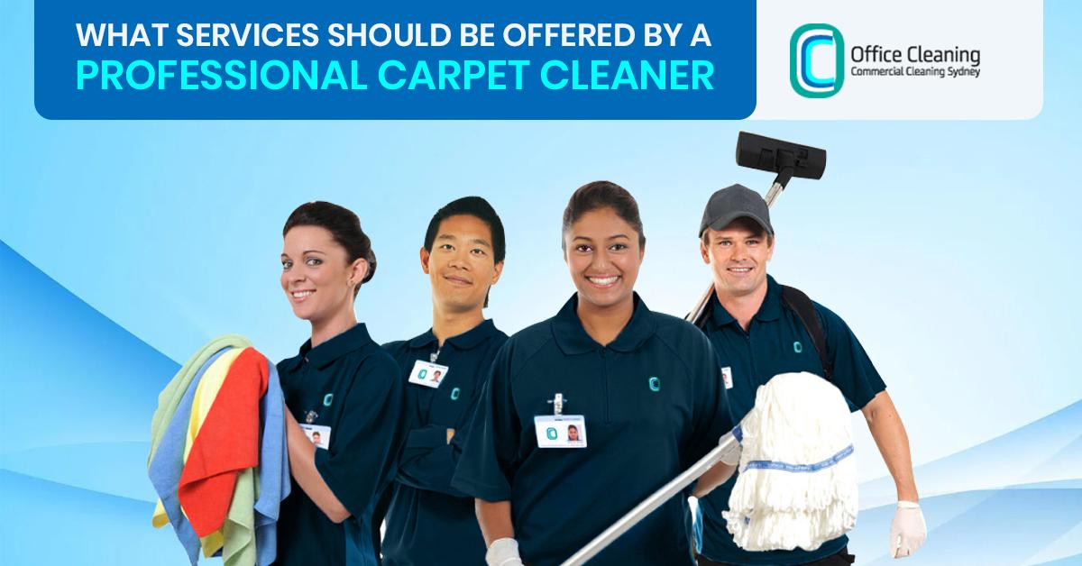 What Services Should Be Offered by a Professional Carpet Cleaner?