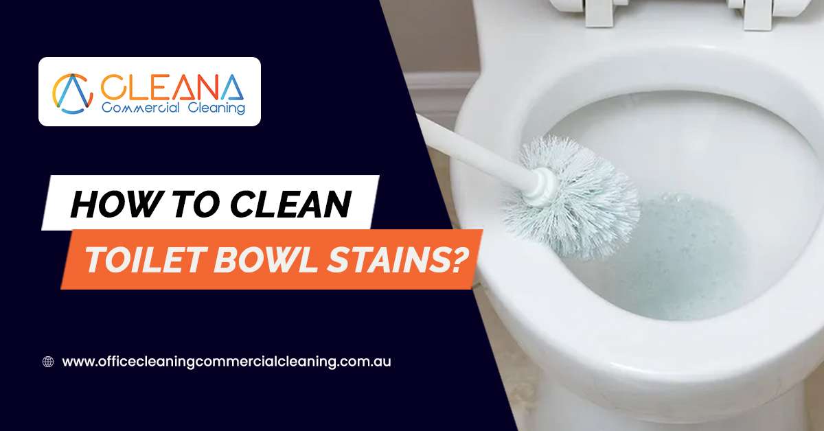 How To Clean Toilet Bowl Stains?