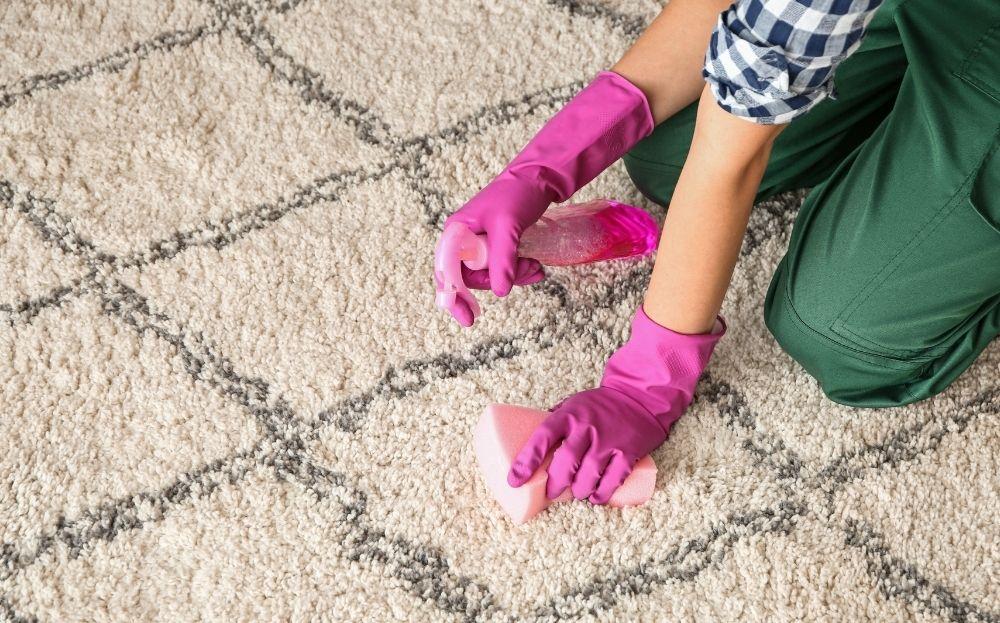 how to clean carpet without vacuum (1)