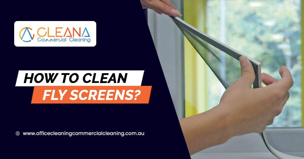 How To Clean Fly Screens? CLEANA