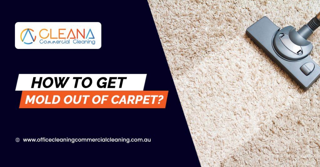 How To Get Mold Out Of Carpet?